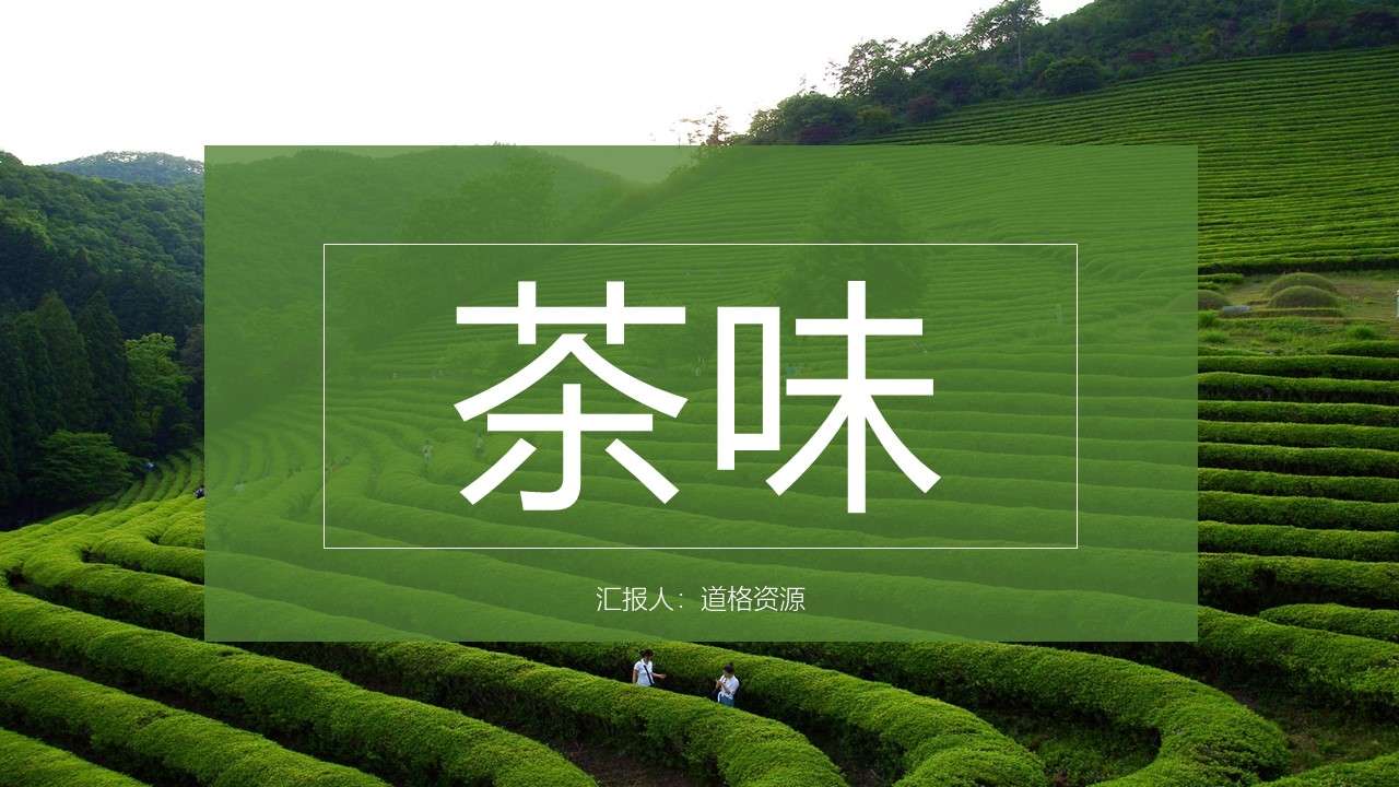 绿色杂志风禅茶一味产品介绍PPT模板